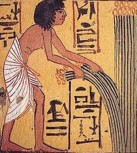 Egyptian representaion of harvesting wheat