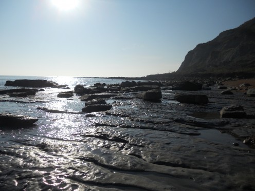 Fossil beds exposed at low tide on the Jurassic coast