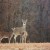 White Tail Deer in my Front Yard White Tail Deer in my Front Yard