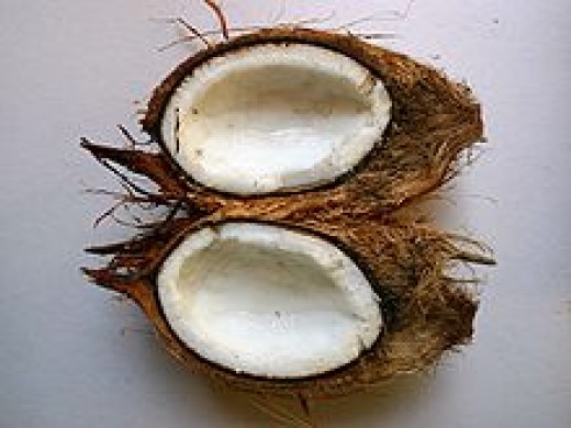 Facts About The Coconut Tree - Detailed Description And Uses | HubPages