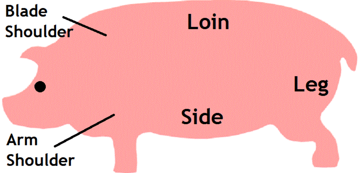Pig Primal Cut Chart