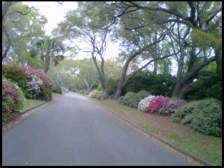 Take your mother for a drive and enjoy the scenery- and conversation! 