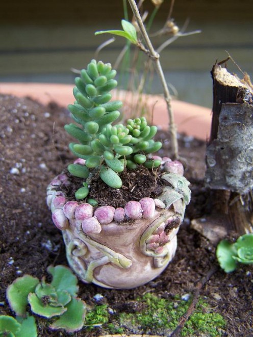 Handcrafted Fairy Garden Flowerpot. This pot was made from Polymer Clay!