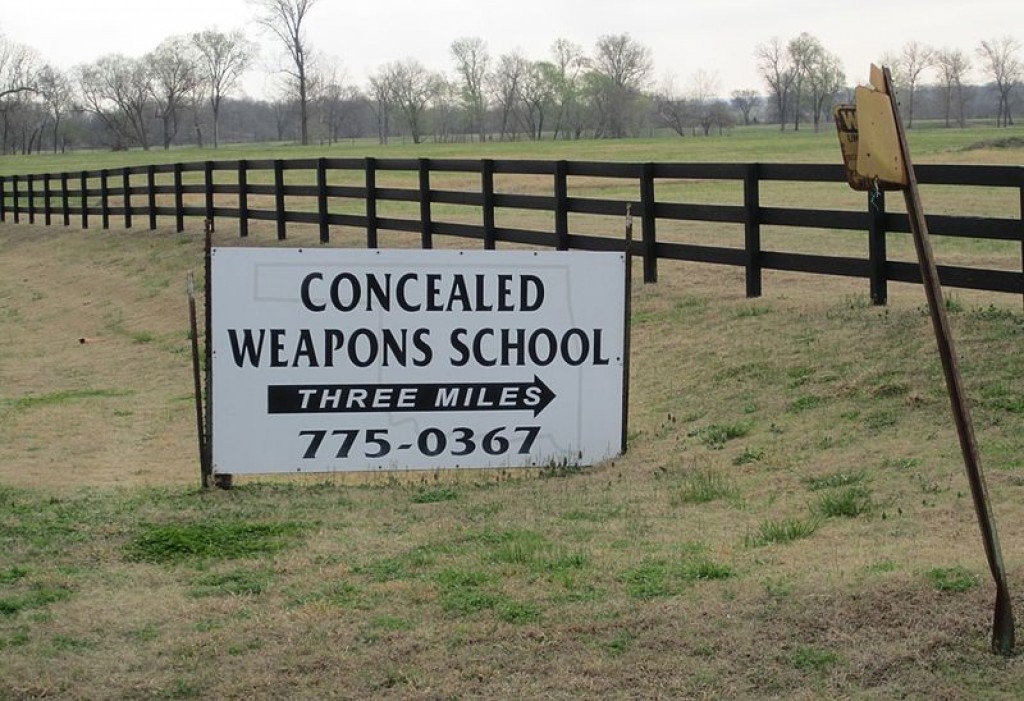 Pros and cons of gun control essay