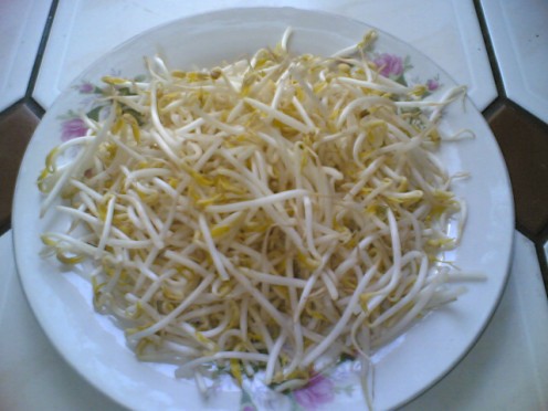 Fresh Bean Sprouts