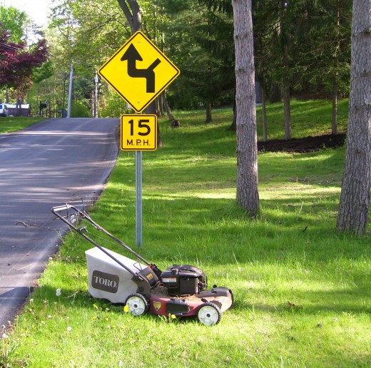 Stop worrying about the path you should take and just mow the lawn already! 