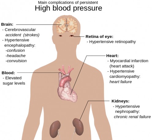 Diagram of the heart and its relation to the brain and blood pressure. 