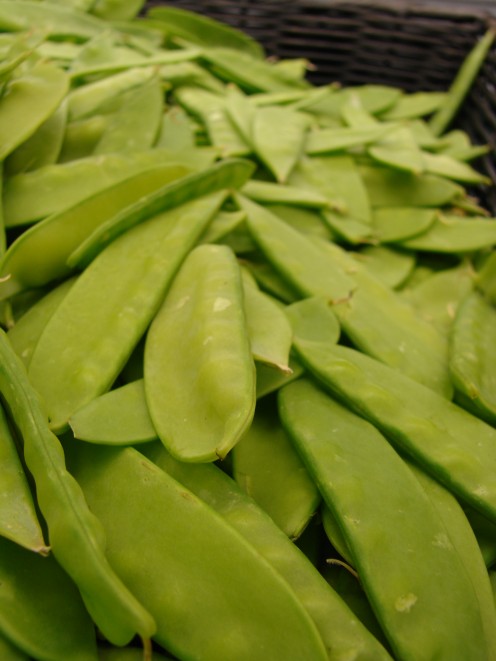 Snow Peas
