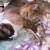 Jam and Moka, of Nagoya's Cat Street Jam and Moka, of Nagoya's Cat Street