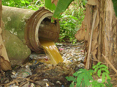 It's illegal to have your sewage all over the ground.  It has to be cleaned up the right way.