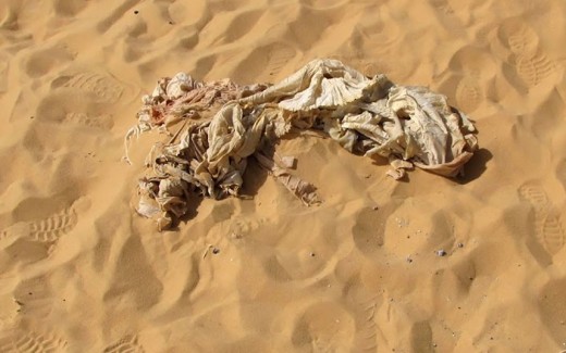 A silk parachute found near the recovered P-40. Royal Air Force Flight Sergeant Dennis Copping, 24, may have used it to shelter himself from the burning Sahara sun when he crashed in 1942, 200 miles from the nearest village.