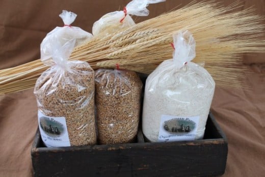 Amish Organic Grains and Flour