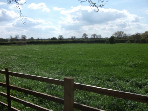 One of the fields upon which the battle of Bosworth was fought