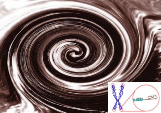 What do chocolate and telomeres have to do with health and longevity?  Read below.