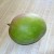 Not quite ripe Mango Not quite ripe Mango