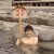 A woman enjoying a hot spring.