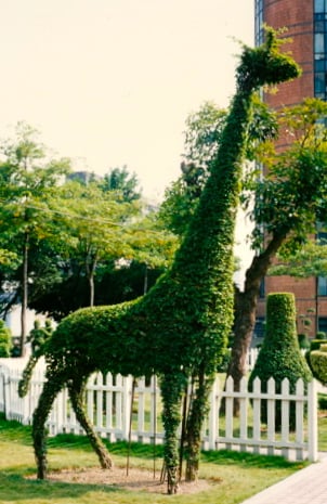 Giraffe, on a frame, Taiwan