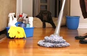 Cleaning is an easy and cheap way to increase the value of your home.