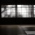 Eerie tree shadows on shoji screens, Japan. Eerie tree shadows on shoji screens, Japan.