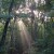Sunbeams at dawn. Sunbeams at dawn.
