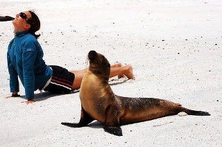 Cute huh? Never give any excuses, it can always be just as simple as this...