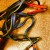 Jumper Cables Jumper Cables