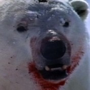Mongrel profile image