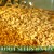 Soak the seeds for 8 to 12 hours after disinfecting them. Be sure to keep them in a very low-light location. Soak the seeds for 8 to 12 hours after disinfecting them. Be sure to keep them in a very low-light location.