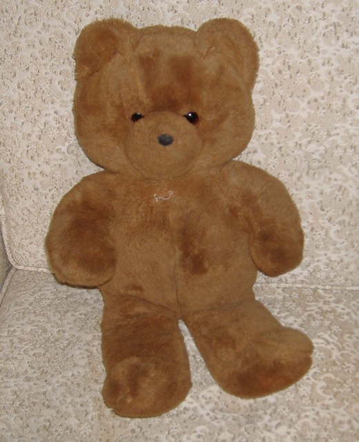 One of the many teddy bears that live at our house.