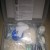 First Aid for Pets 2