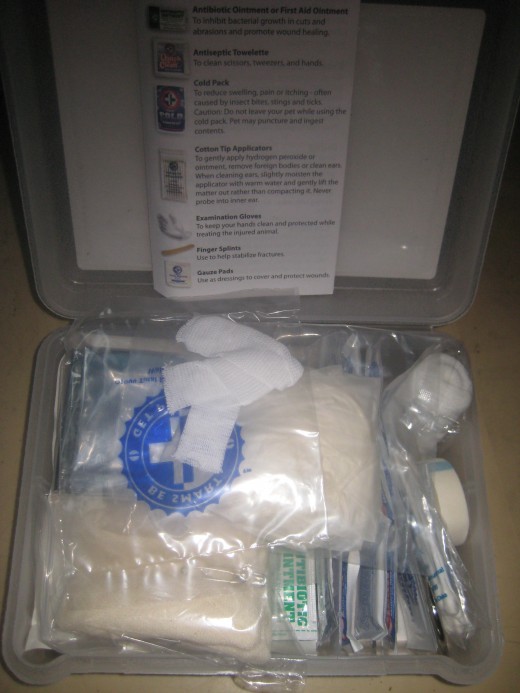 First Aid for Pets 2