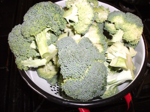 Freshly cut Broccoli