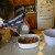 Pour the soup mix on top of each pork chop with stuffing. Pour the soup mix on top of each pork chop with stuffing.