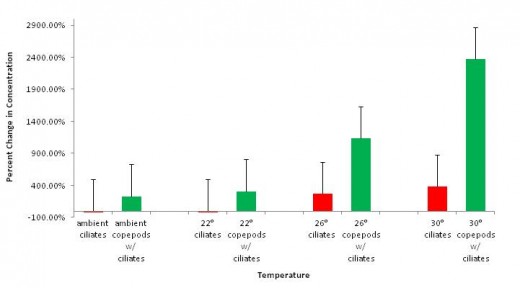 Figure 2. Percent change in concentration of ciliates and copepods in the presence of ciliates across four different temperature treatments