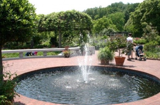Fountain in the herb garden