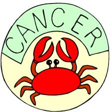 Image result for cancer zodiac