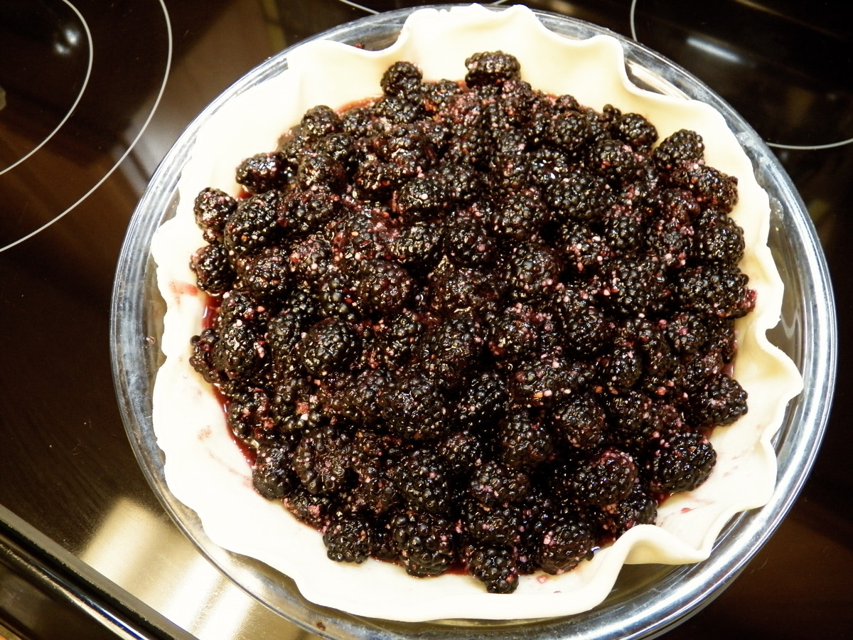 Step 5: Unroll pre-made crust and put in pie plate.  Pour berries in the crust and distribute them evenly.