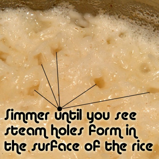 Continue to simmer until steam holes are evident on the surface of the rice.