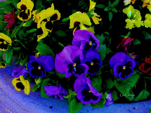 Never be afraid to use bold, intense colors when using Photo Shop or the real thing (actual paint!)Flowers especially need to be dramatic and exciting to look at. as they have been "done to death" as an object of art.