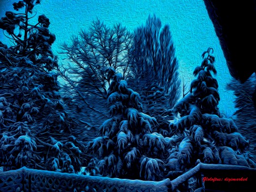 Using Photo Shop Tech, you can make your own Christmas Cards..like this one I am thinking of using next year..