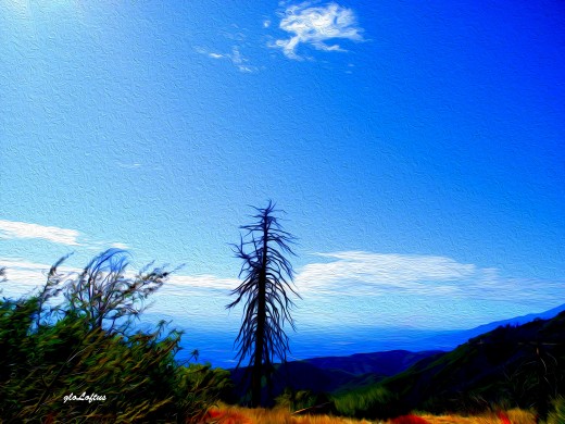 A simple landscape can become magical..