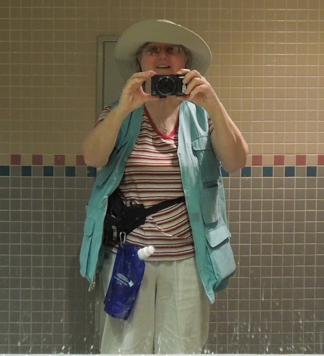 Not exactly high fashion, but it held all four cameras, my ID, my water, and all the brochures and business cards I collected. Sometimes function beats fashion.