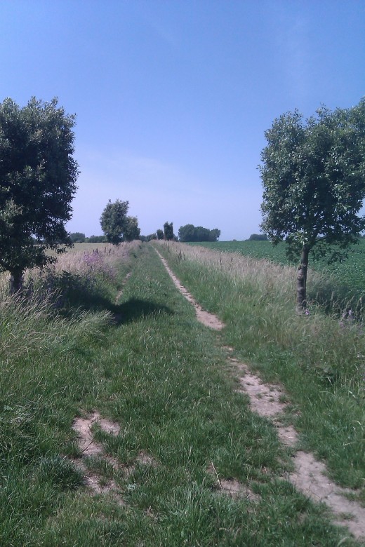 Well trodden footpath