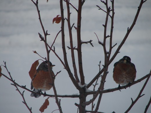 The promise of spring.