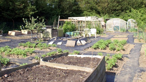 Our allotment in May
