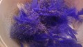 Cat and Feather: Homemade Cat Toy
