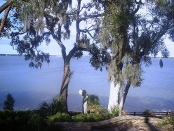 Florida Native Americans: The Tocobaga Tribe of Tampa Bay
