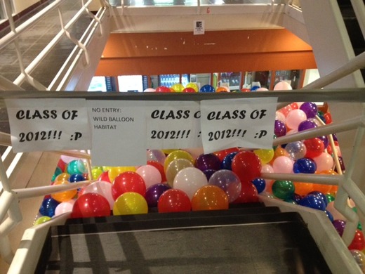 Wild Balloon Habitat