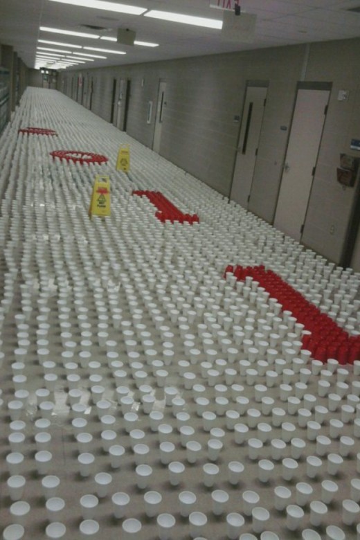 Cups Scattered Through the Hallway
