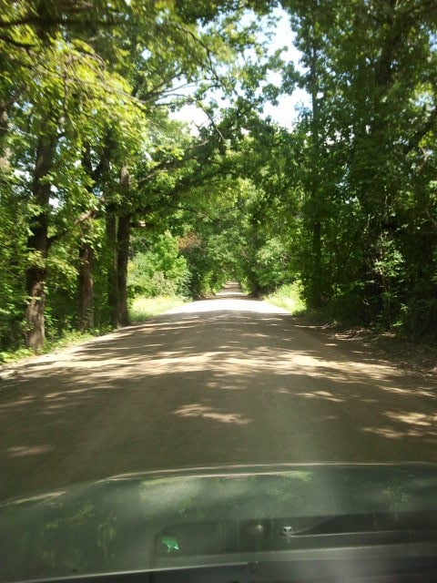 You don't have to stay in the shade all day to stay cool this summer! Photo Source: Shanna11